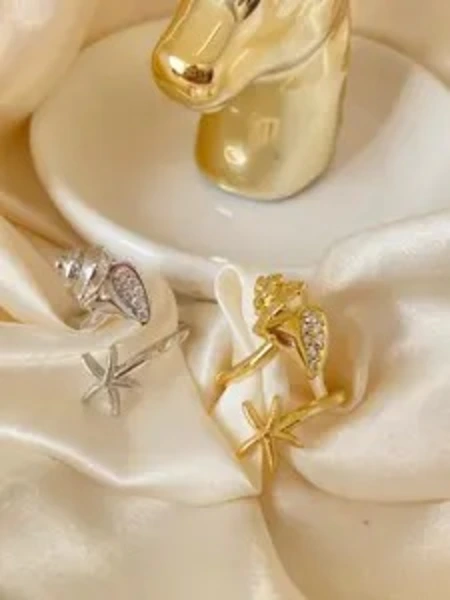 imagen Anillos